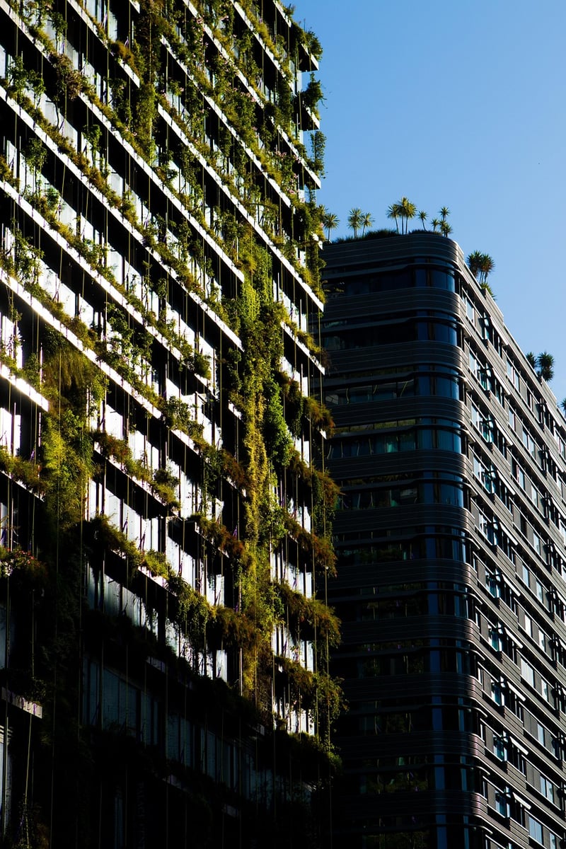City Gardening